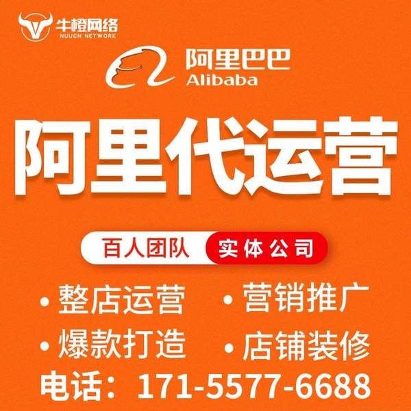 泰兴电商代运营