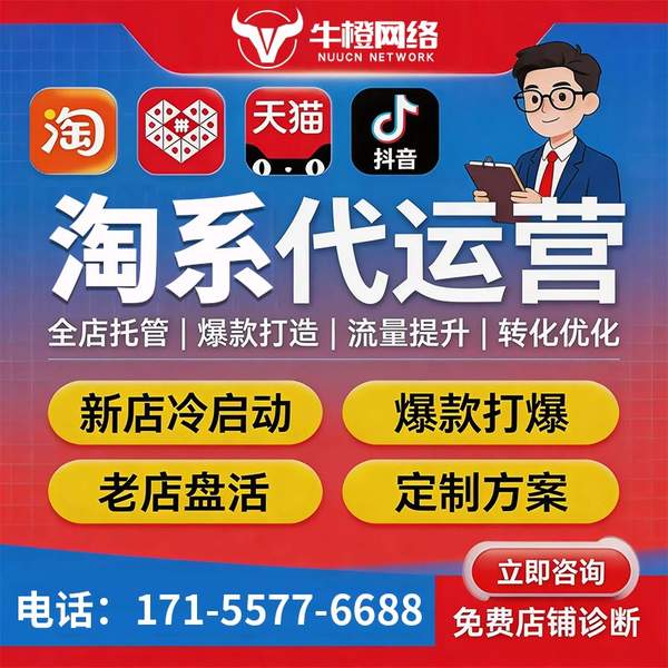 泰兴电商代运营