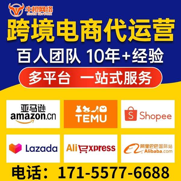 泰兴电商代运营