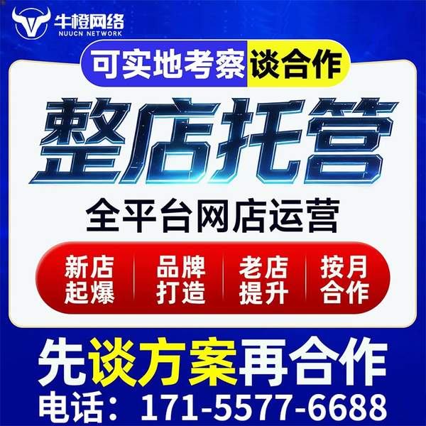 泰兴电商代运营