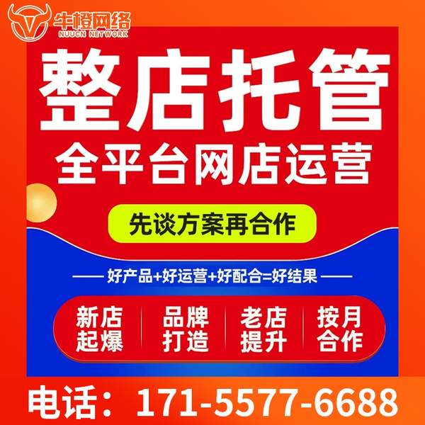 泰兴电商代运营