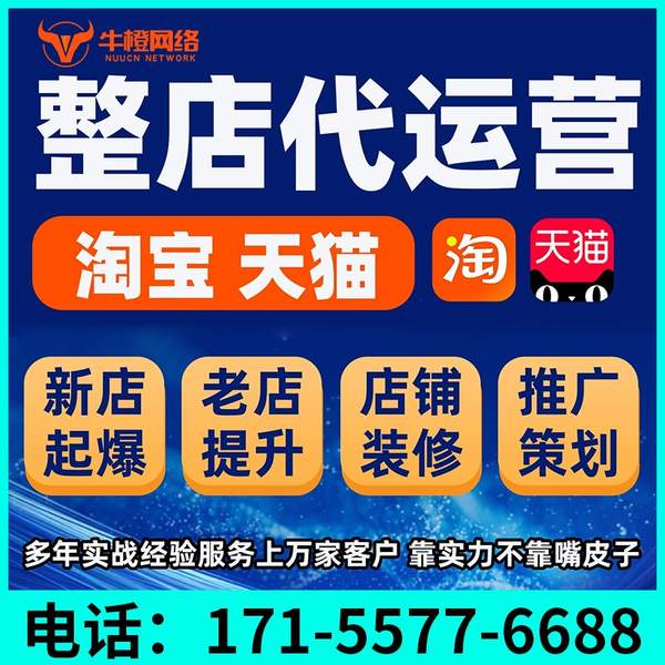 泰兴电商代运营