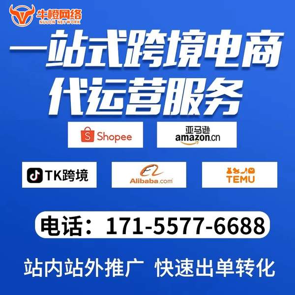 泰兴电商代运营