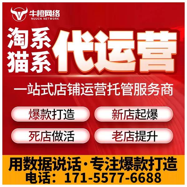 泰兴电商代运营